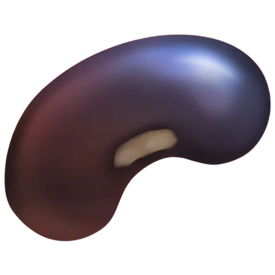 Black Bean (x150)