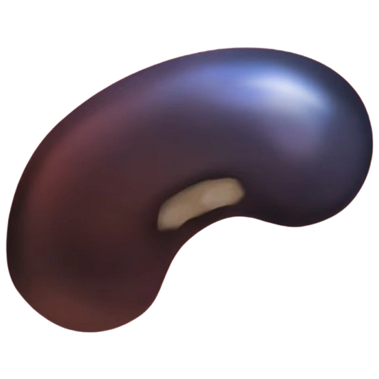 Black Bean (x150)