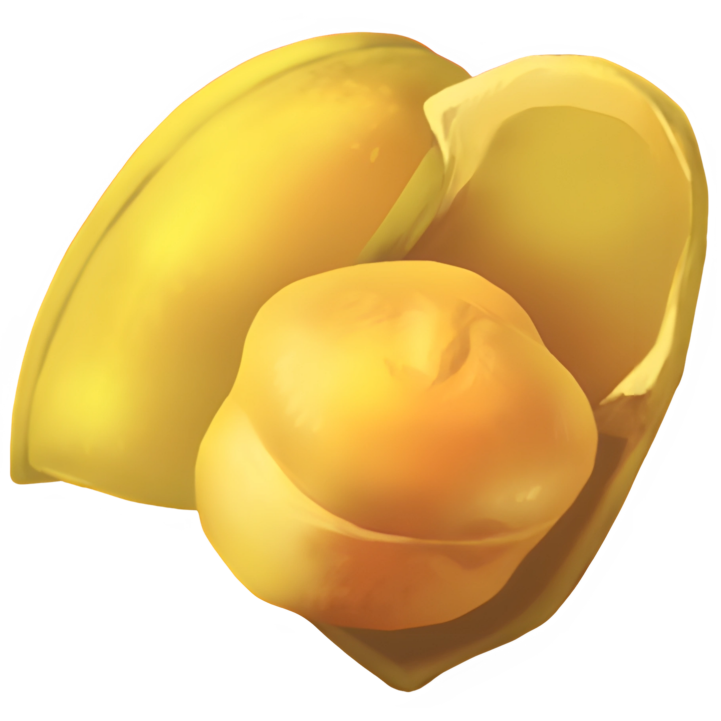 Chickpea (x150)