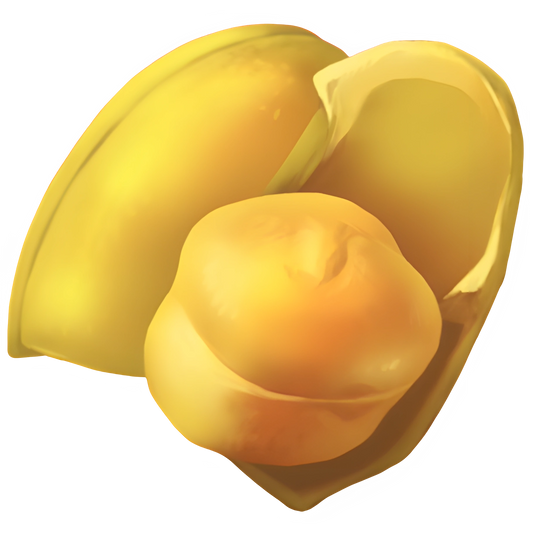 Chickpea (x150)