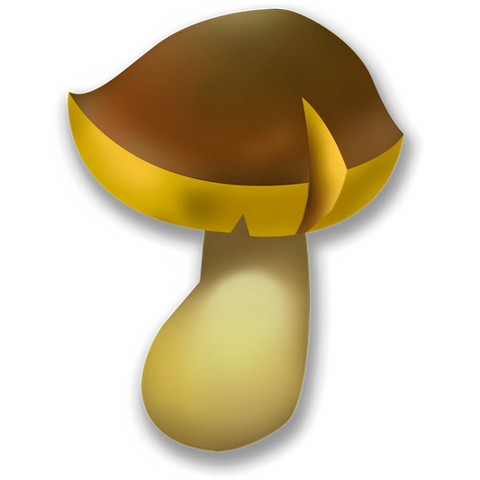 Mushroom (x150)