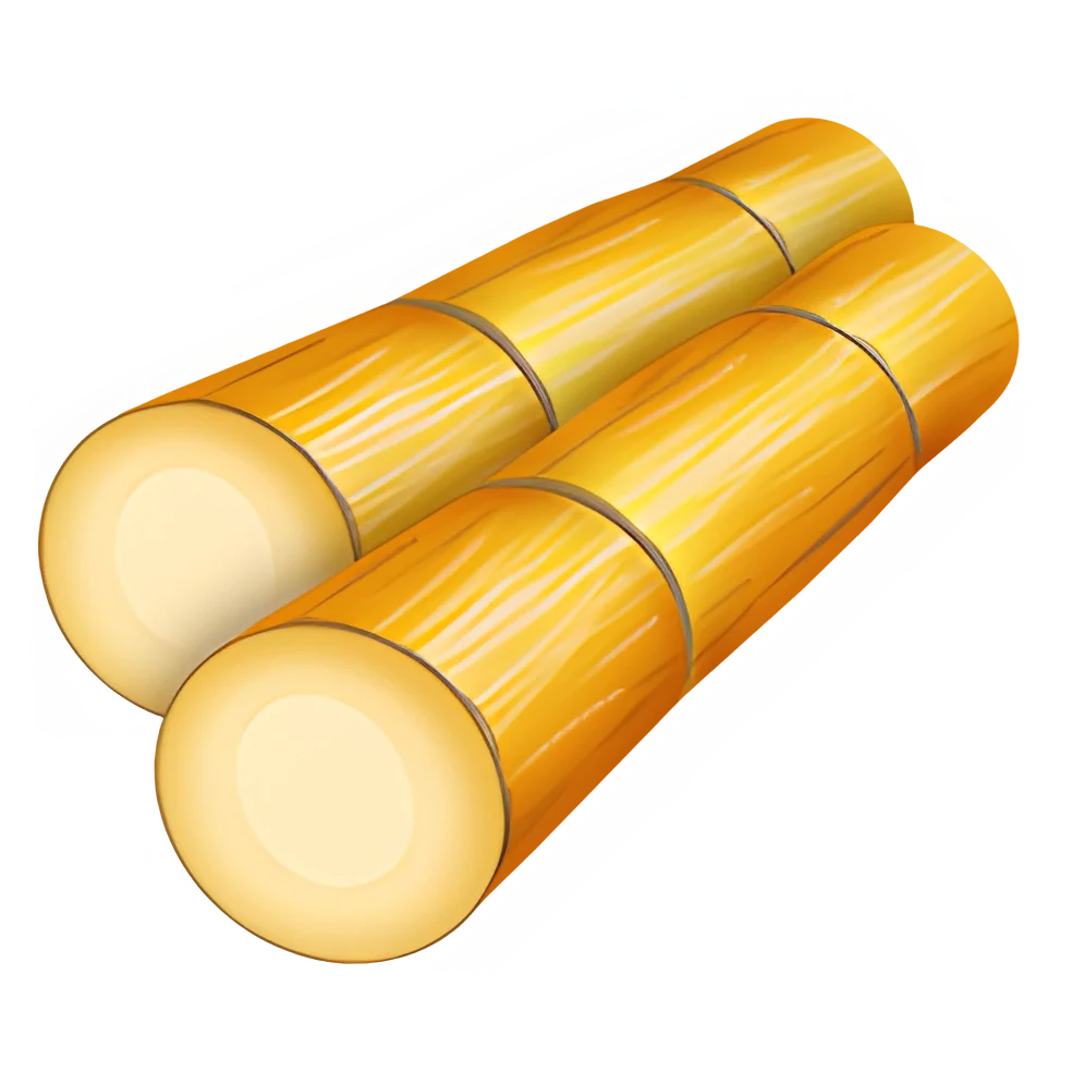 Sugarcane (x150)