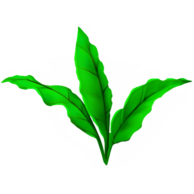 茶葉 (x150)
